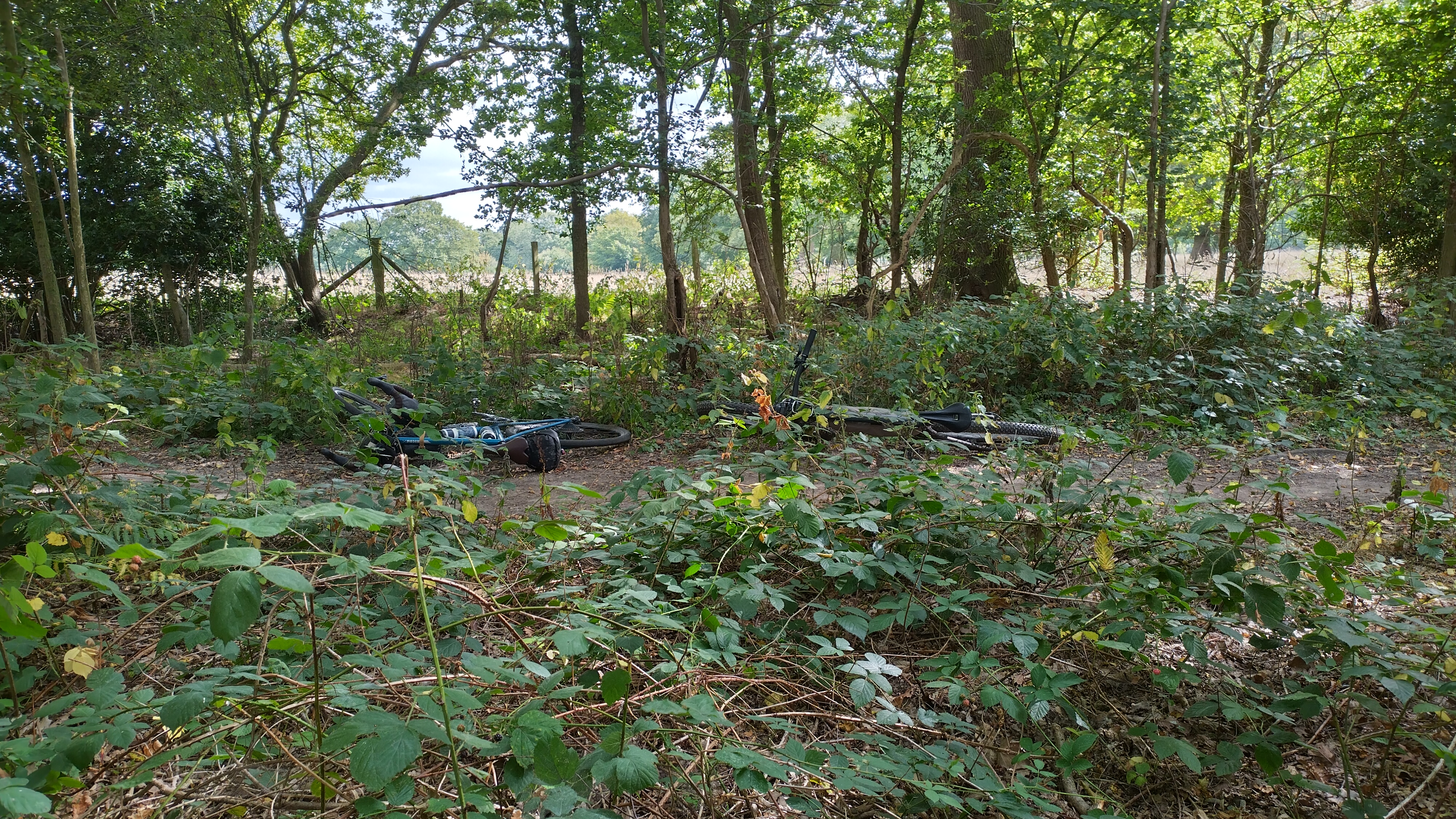 500 Meter kein Müll, gleich Pause gemacht! Placeholder