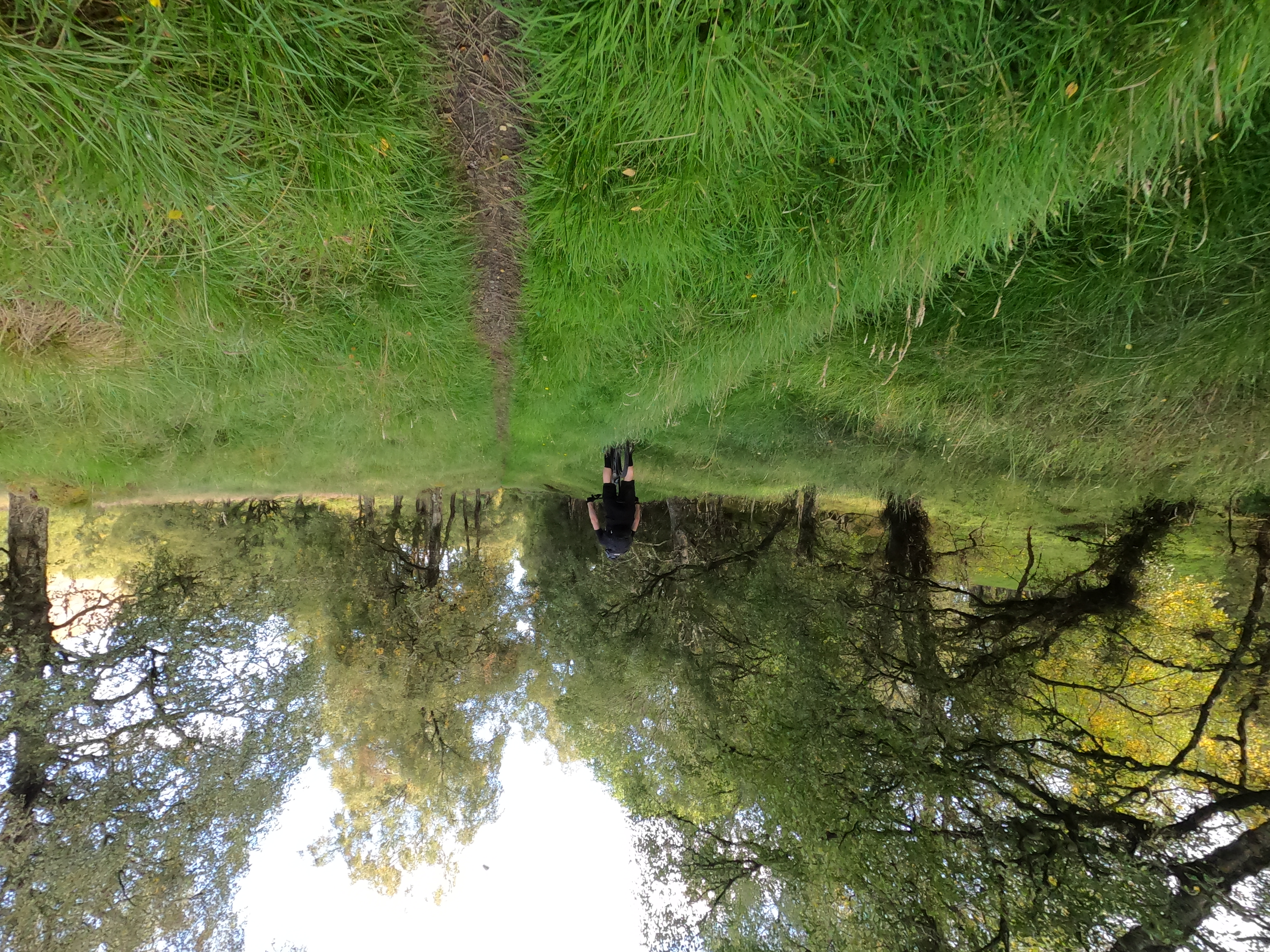 und schicke Wälder Placeholder