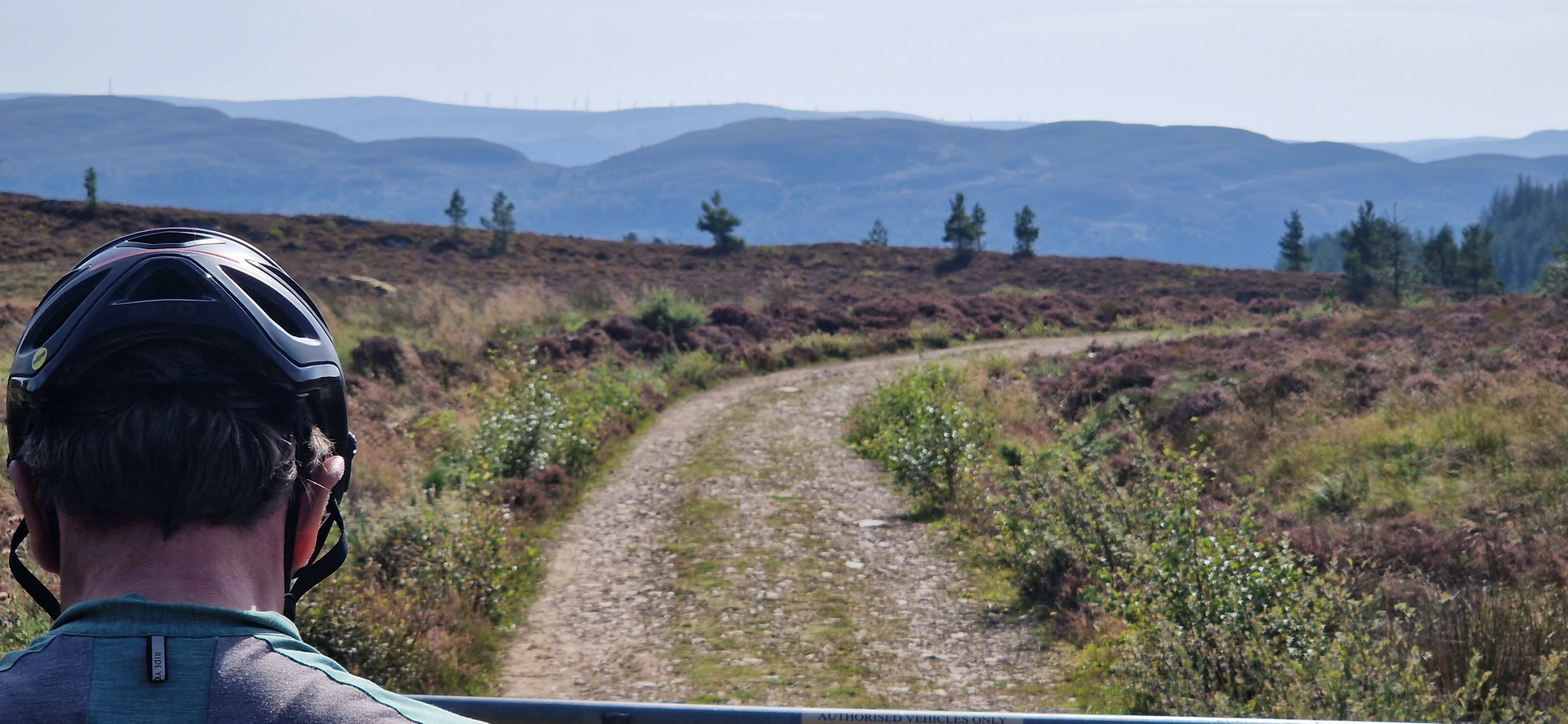 Schicke Aussichten Placeholder