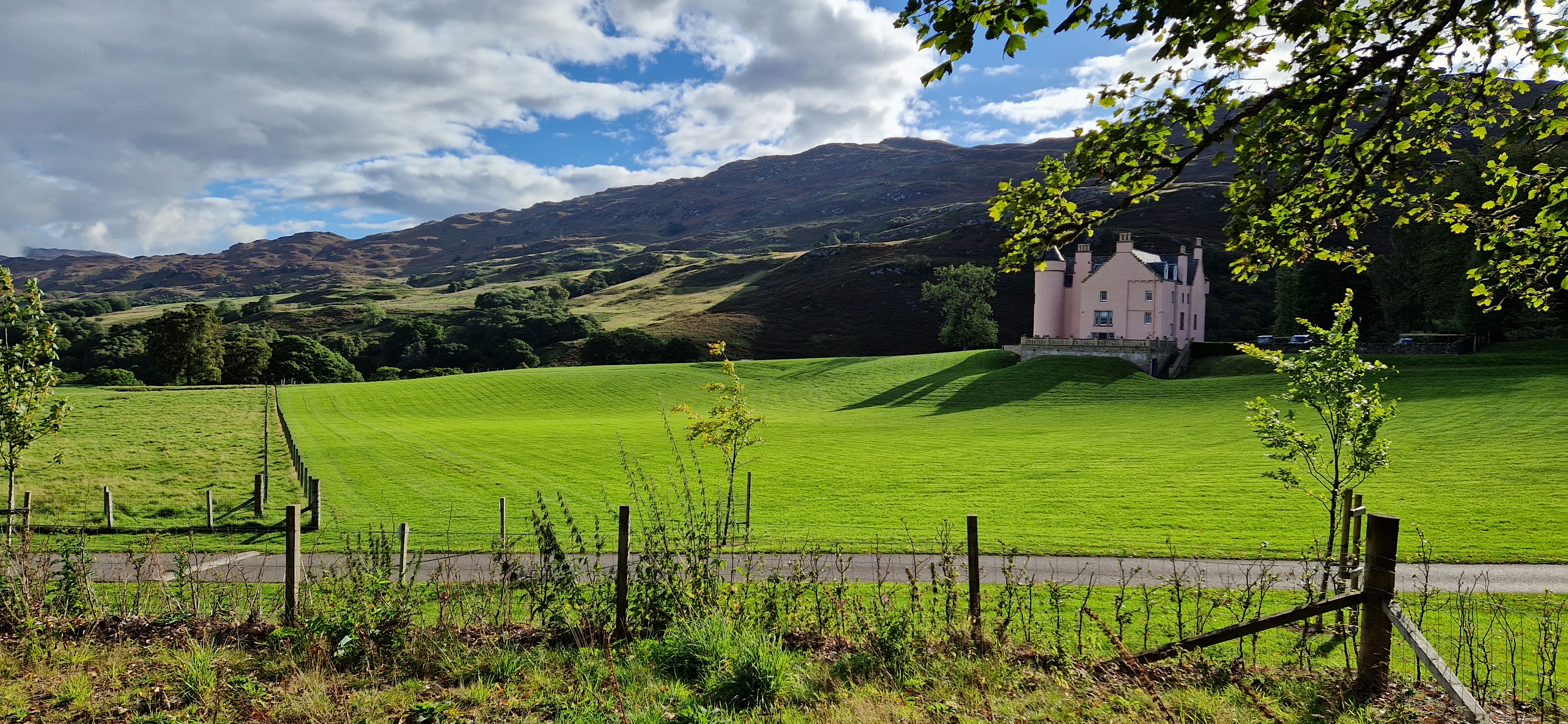 Da mäht jemand viel Rasen Placeholder