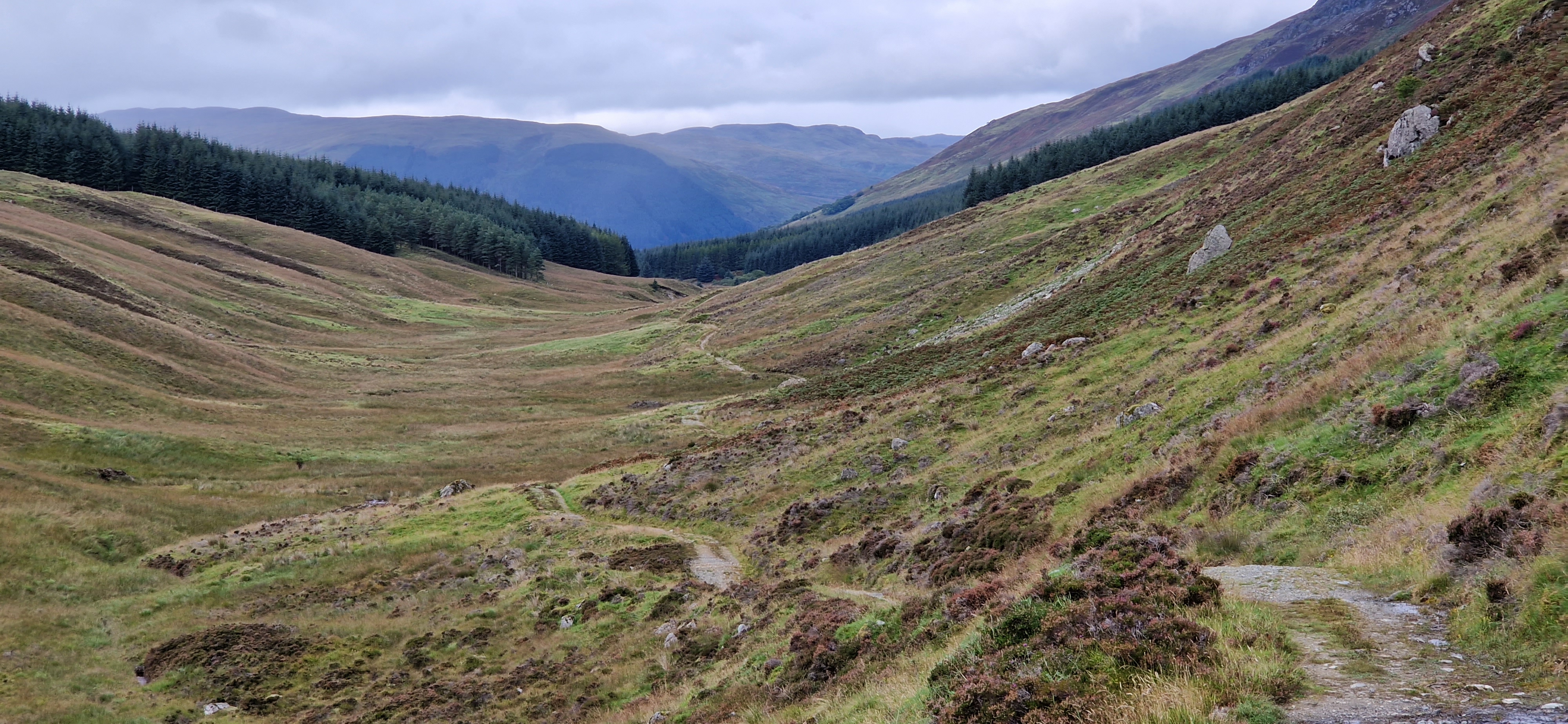 keine Menschenseele in Sicht Placeholder