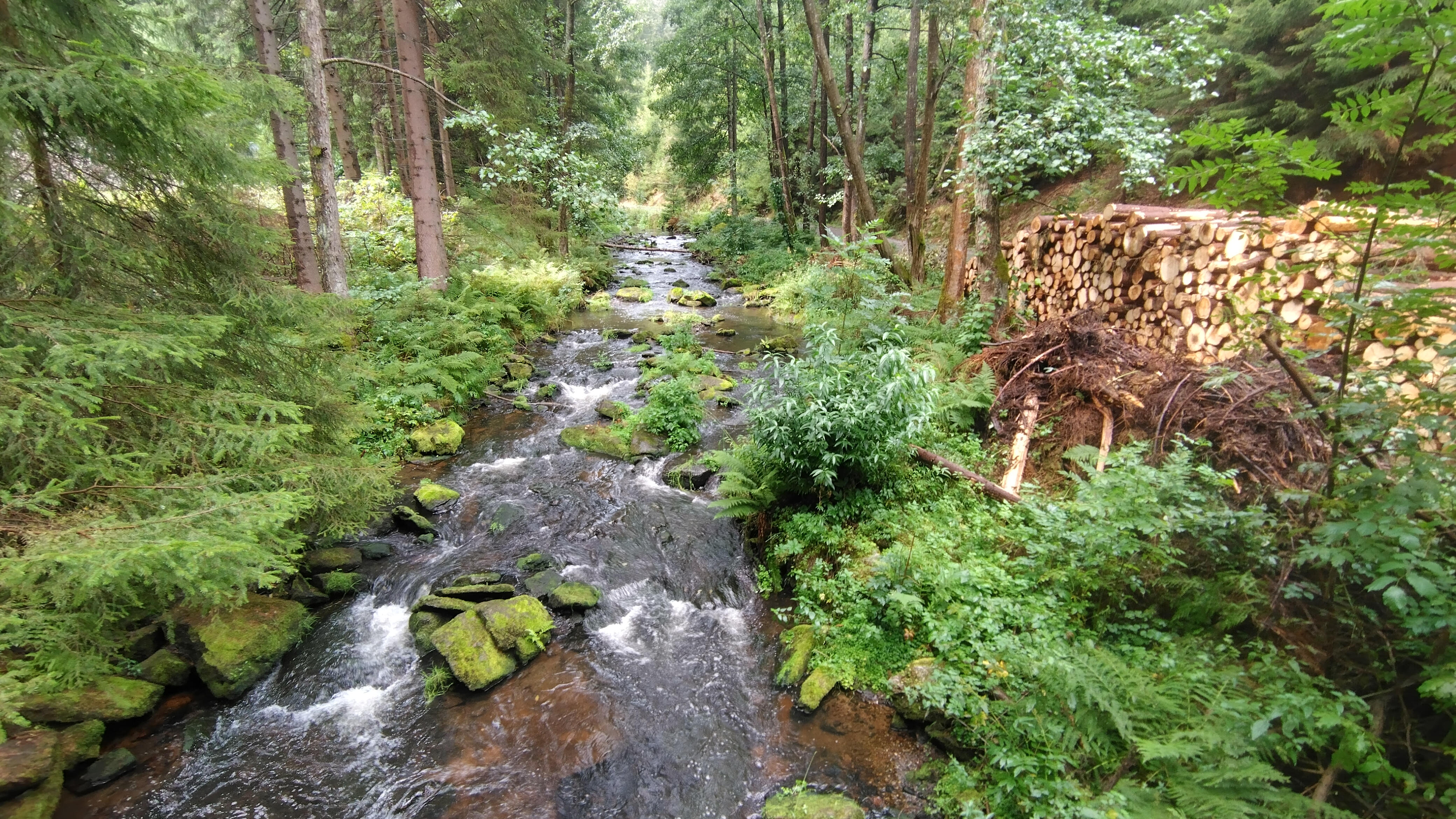 Plätscher, plätscher. Placeholder