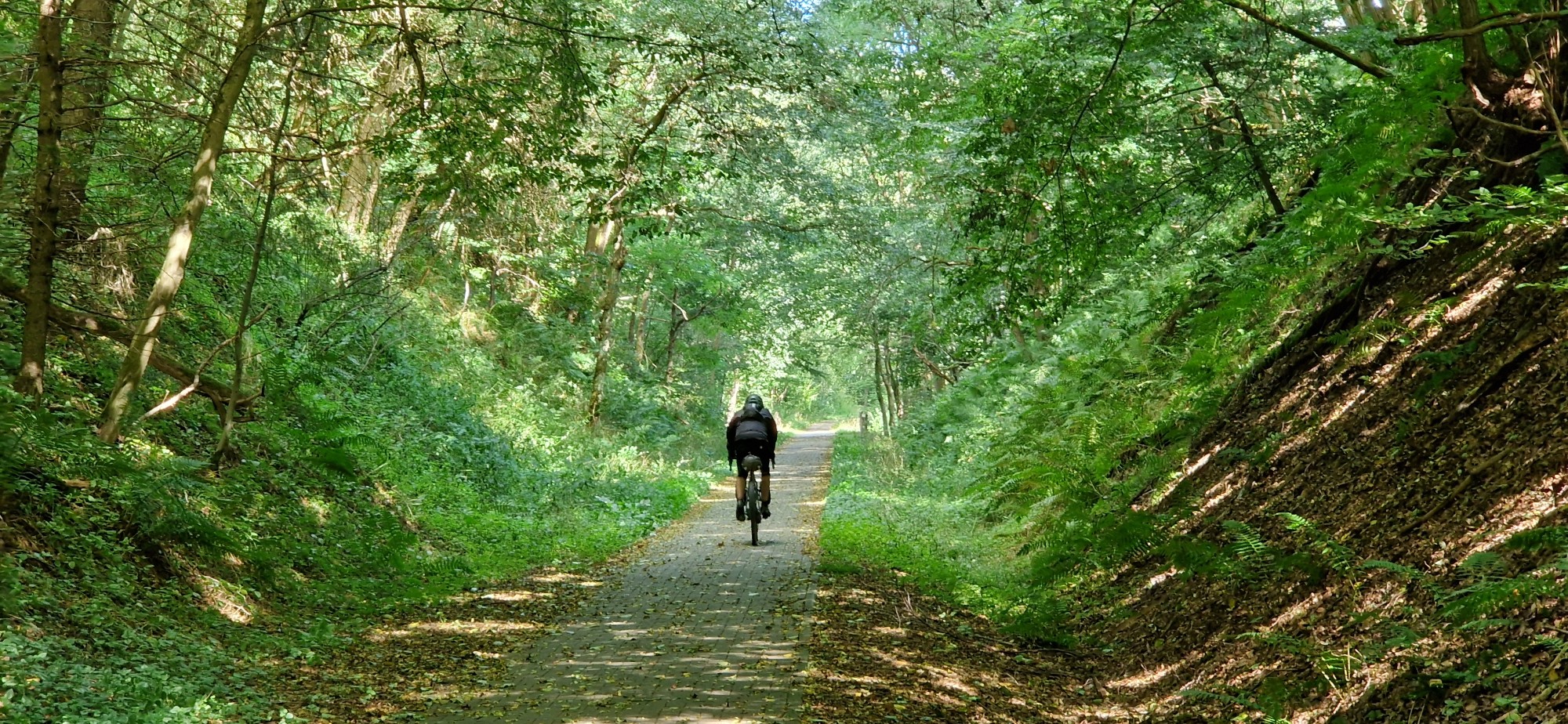 Schön rollen Placeholder